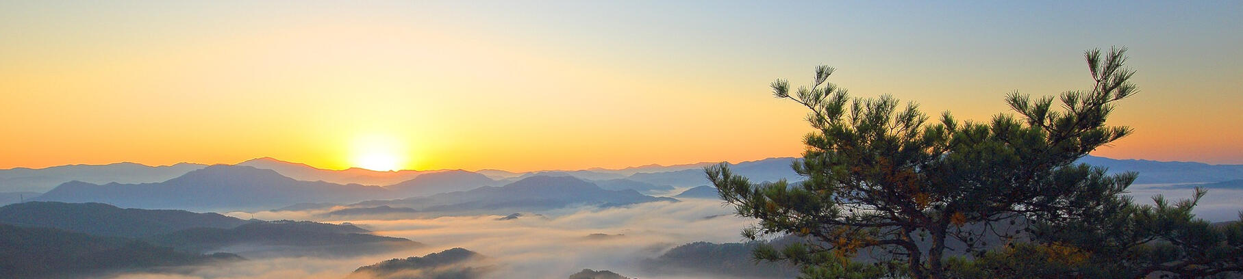 calme kinesiologie genas