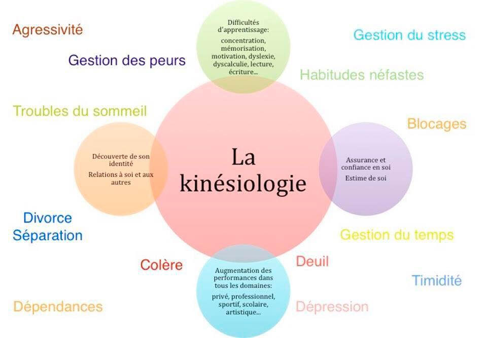 kinesiologie bien etre et equilibre Kinésiologie